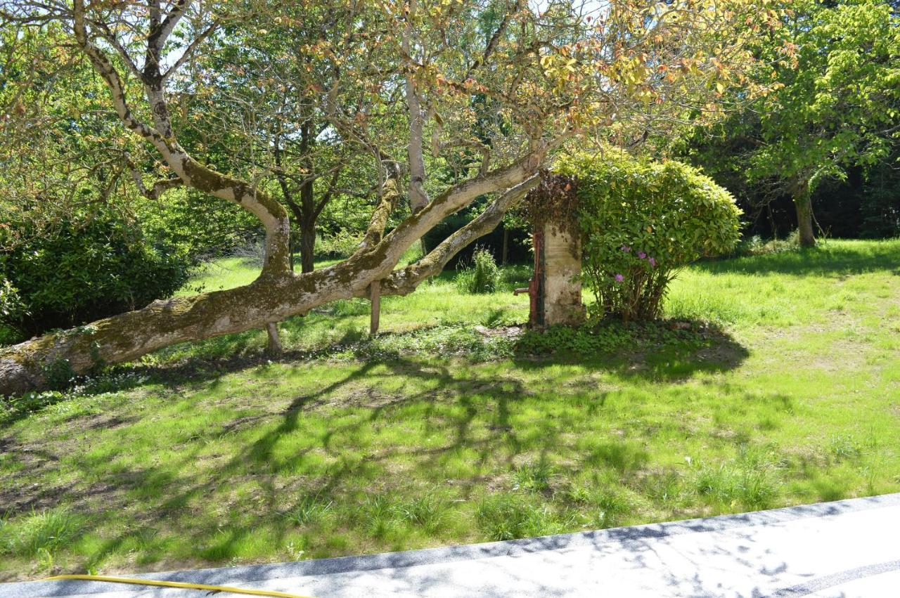 Maison Typique - Tres Grand Jardin - 7Km De La Mer Fontaine-Henry Buitenkant foto